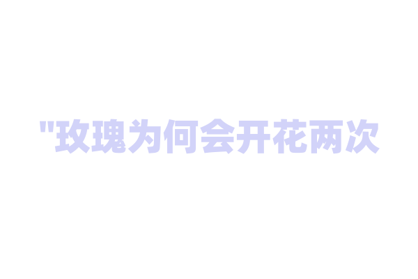 "玫瑰为何会开花两次？"
